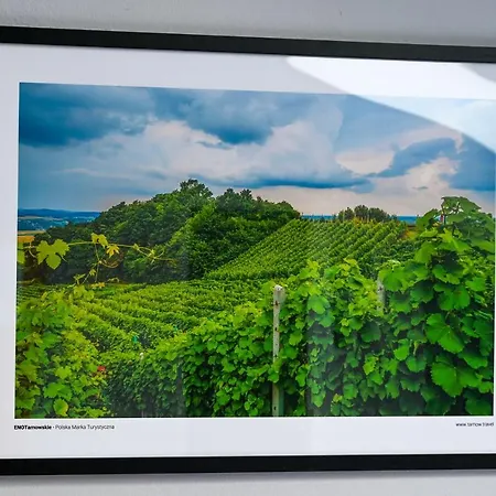 Tarnowskie Centrum Informacji * 타르노프