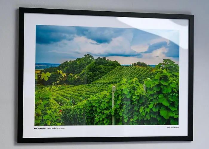 Tarnowskie Centrum Informacji * Tarnów